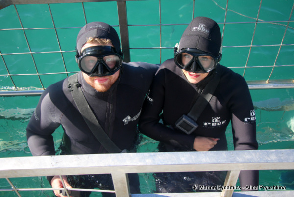 shark cage diving, gansbaai, south africa